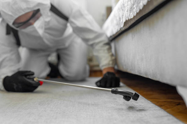 Professional Cockroach Control technician working in Cologne, MN